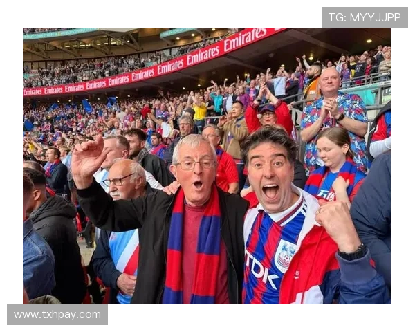 水晶宫720镑季票座位受遮挡